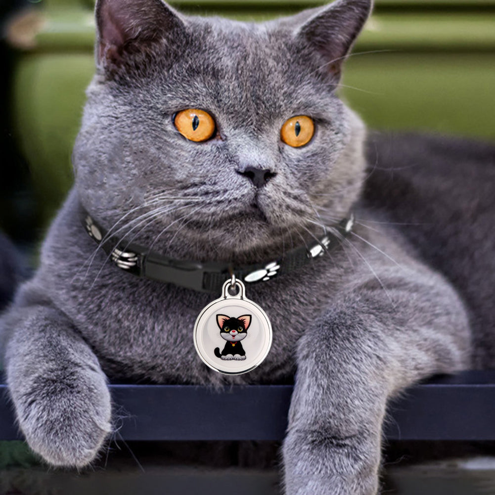 Real-time tracker, Bluetooth GPS collar device, download, Findmytag