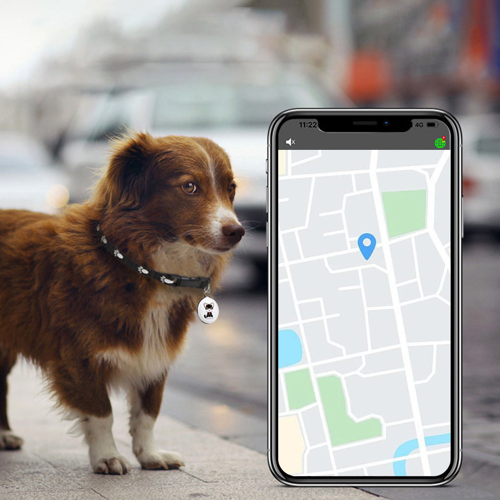 Real-time tracker, Bluetooth GPS collar device, download, Findmytag