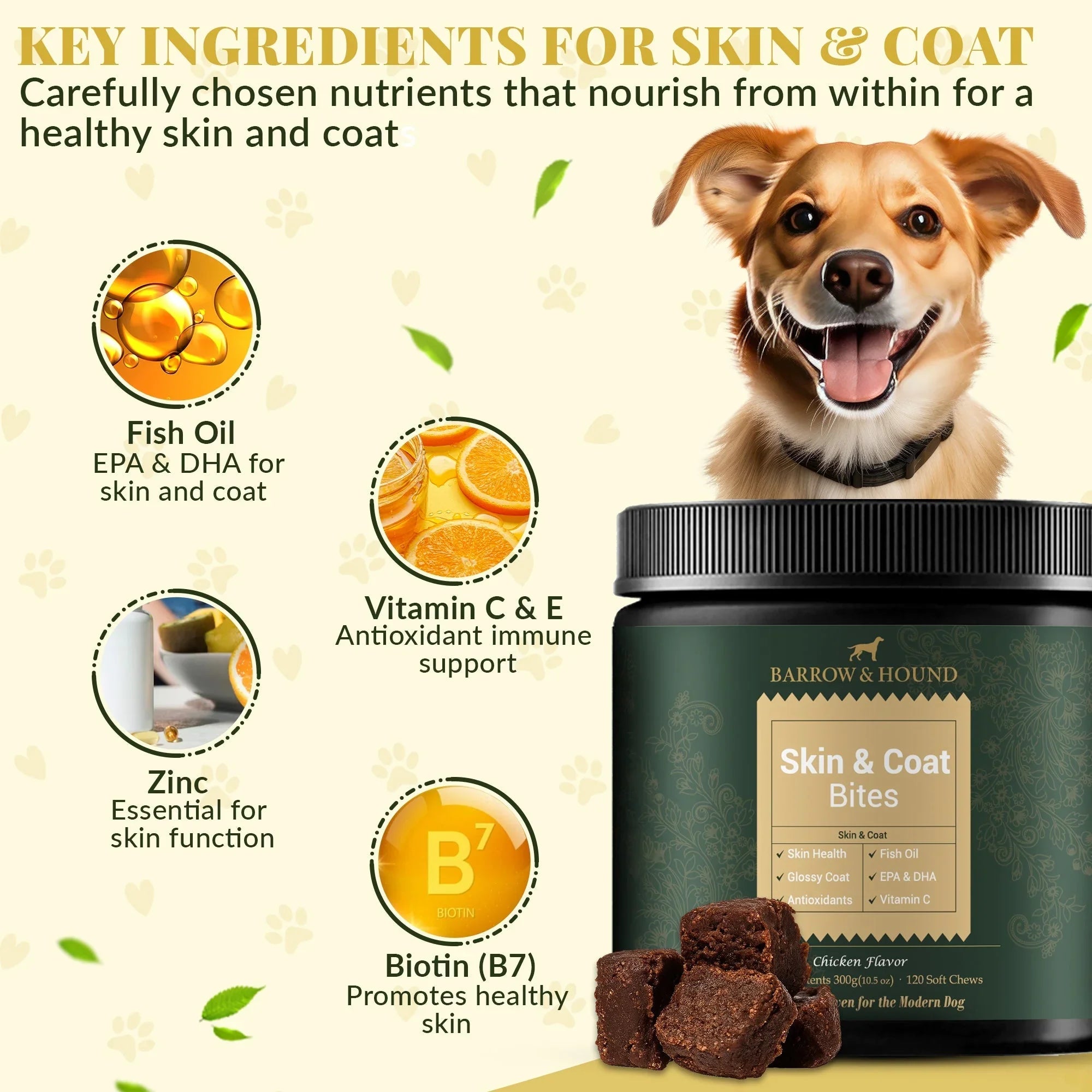 Skin & Coat Bites for Dogs – Shine, Strength & Allergy Relief Barrow & Hound