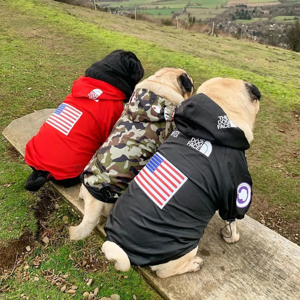 Windbreaker Jacket