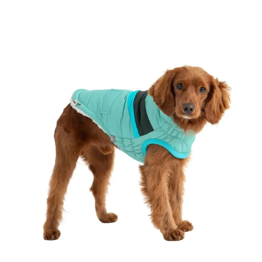 Puffer Aqua Retro