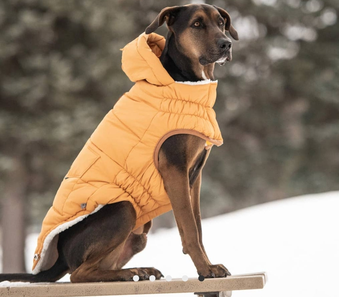 Parka Amarilla